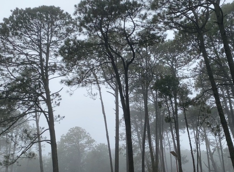 Temperaturas congelantes afectan a municipios de Querétaro