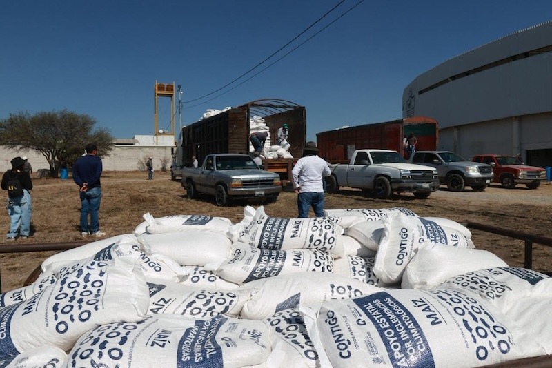 SEDEA reporta 50% de avance en entrega de maíz para productores afectados por sequía