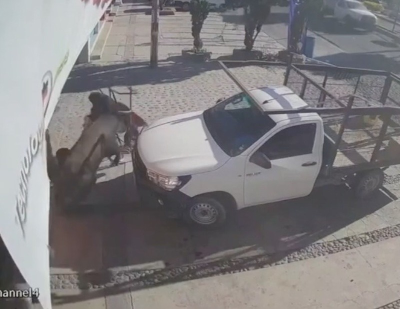 Toro suelto deja seis personas lesionadas en Pedro Escobedo