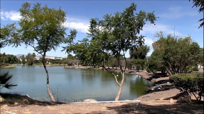 Invitan en Querétaro a jornada por el Día Mundial del Agua para fomentar su cuidado