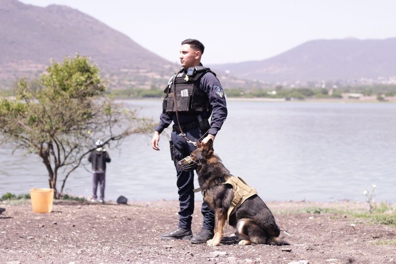 Querétaro mejora percepción de seguridad y se posiciona entre las ciudades más seguras del país