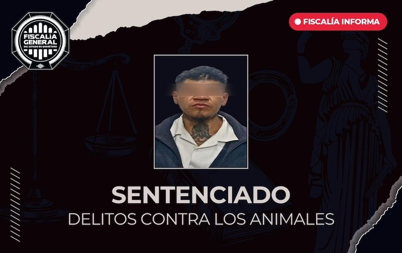 Sentencian a dos años de prisión a hombre por maltrato animal en Querétaro