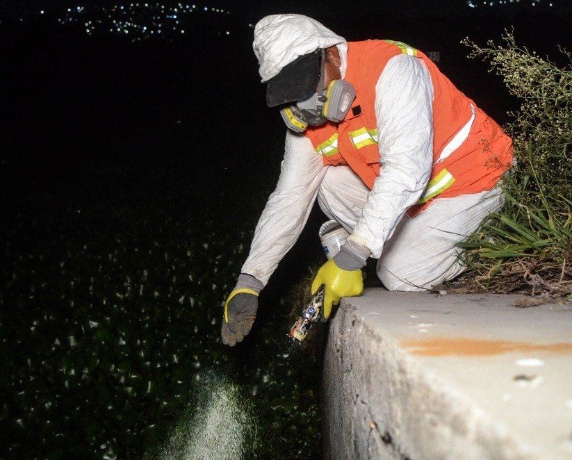 Refuerzan acciones contra mosquitos en Querétaro 2000 para proteger la salud de visitantes