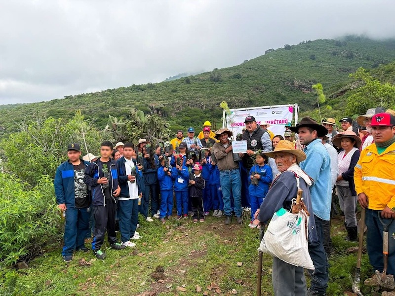 Reforestan con más de 16 mil árboles el Ejido de El Fuenteño, en Colón