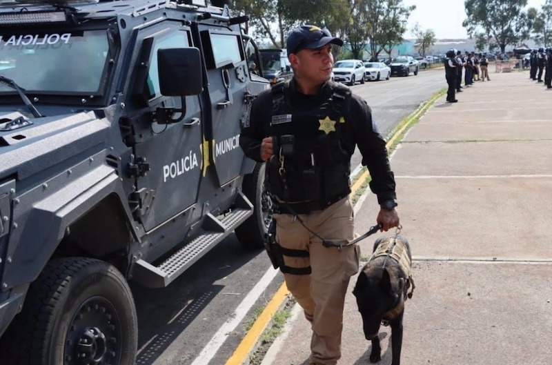 Baja 13% la incidencia de delitos patrimoniales en Querétaro capital