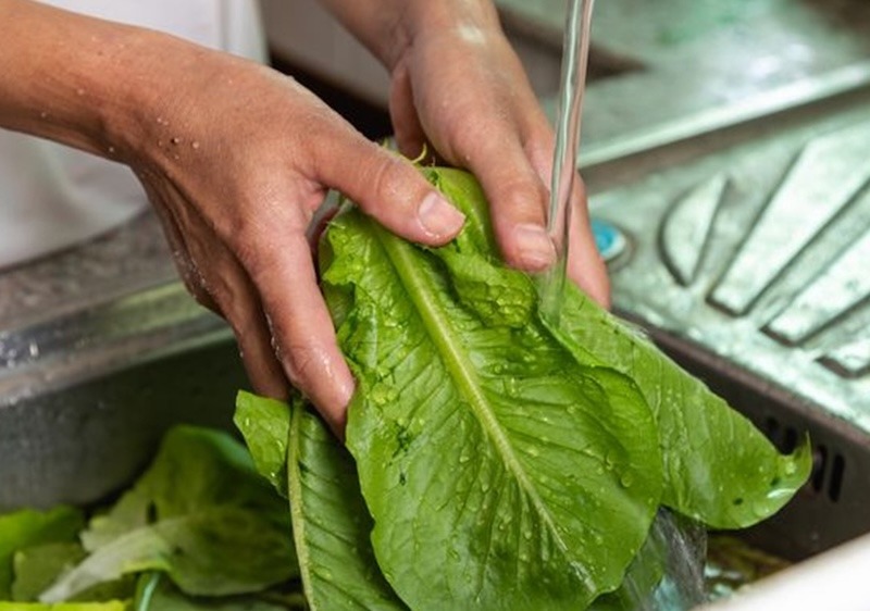 Recomiendan preparar los alimentos con higiene para prevenir enfermedades