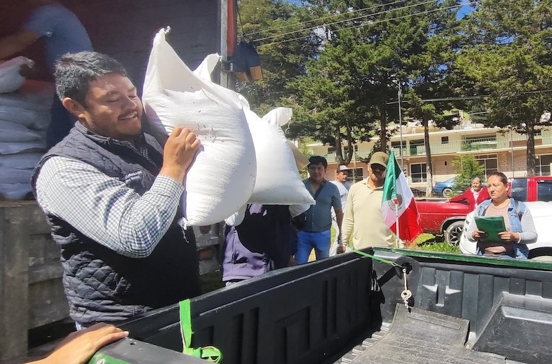 Entregan 5.5 toneladas de semilla de avena a productores de San Joaquín
