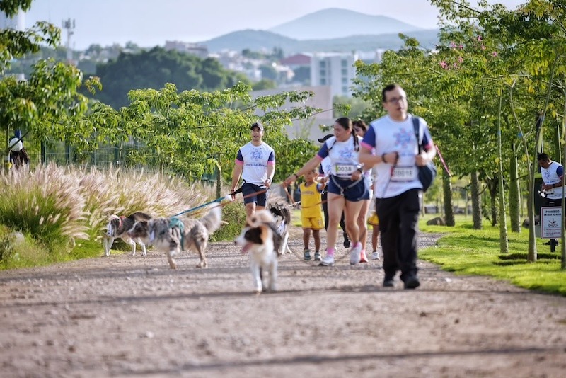 Entregan 500 tags de geolocalización para mascotas durante la primera Carrera de Bienestar Animal 2026