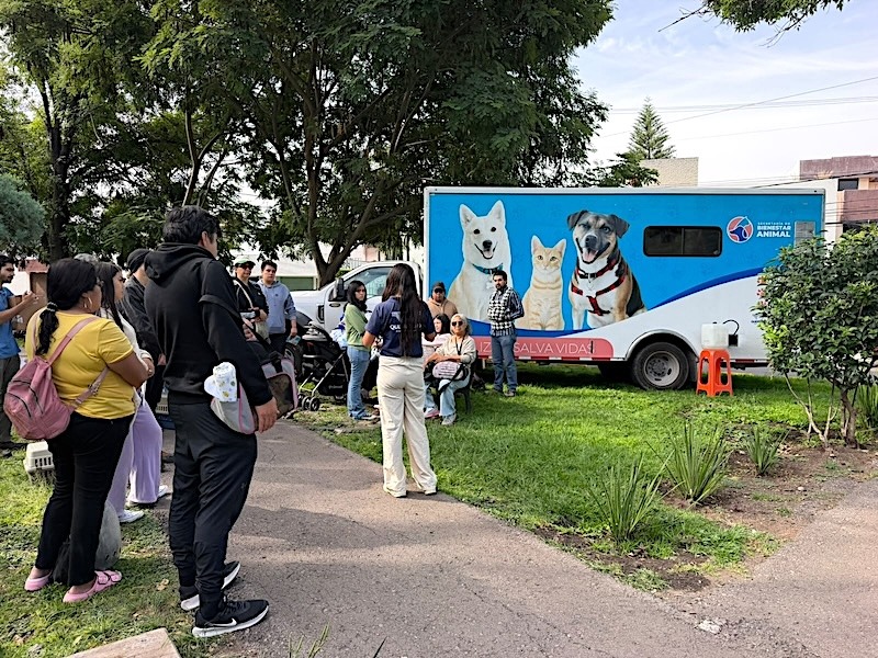 Querétaro Capital refuerza bienestar animal con esterilizaciones, vacunas, rescates y adopciones