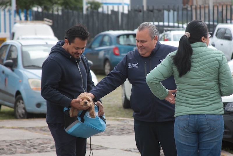 AMEQ entrega más de 300 tarjetas Qrobus Petfriendly para facilitar traslados con mascotas
